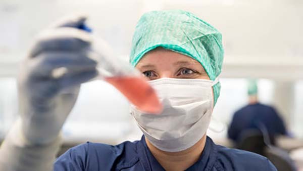 T-celleproduktion. Foto: Kræftens Bekæmpelse